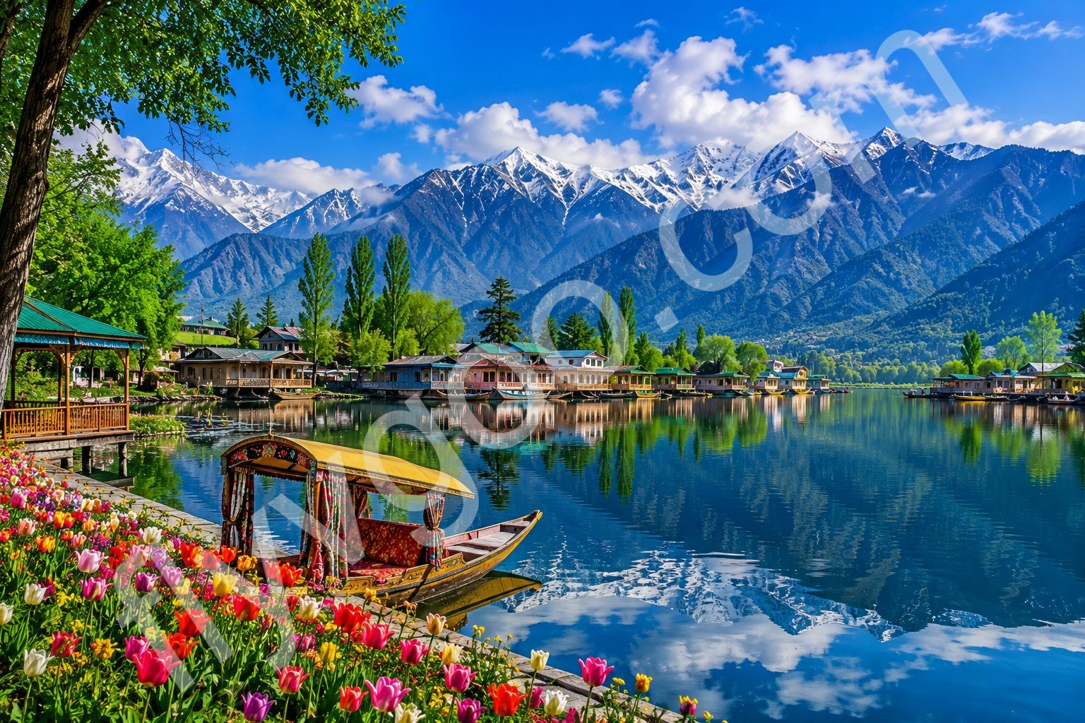 Kashmir